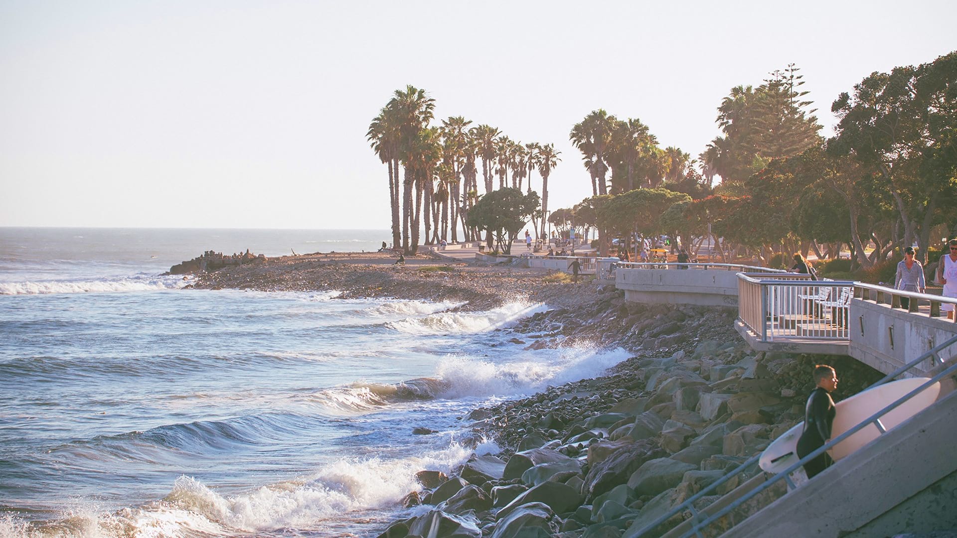 The coast of Venice Beach 
